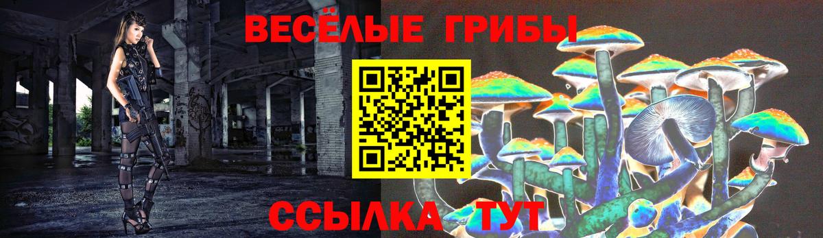 Галлюциногенные грибы Cubensis  Псилоцибиновые грибы Magic Shrooms  Саров  что такое наркотик  Вход с VPN 