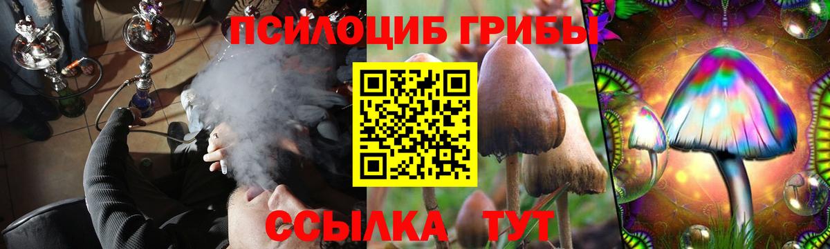 Псилоцибиновые грибы мицелий Саров